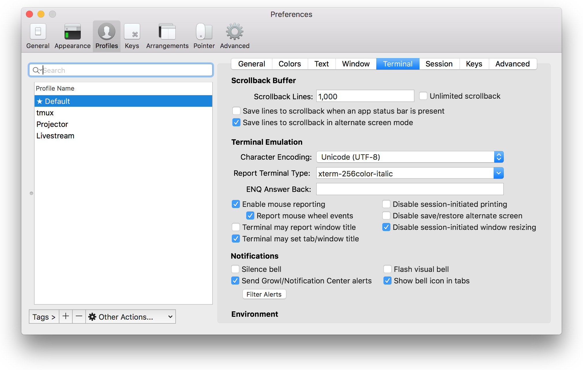 Screenshot of iTerm2's settings window with the 'report terminal as' setting changed to 'xterm-256color-italic