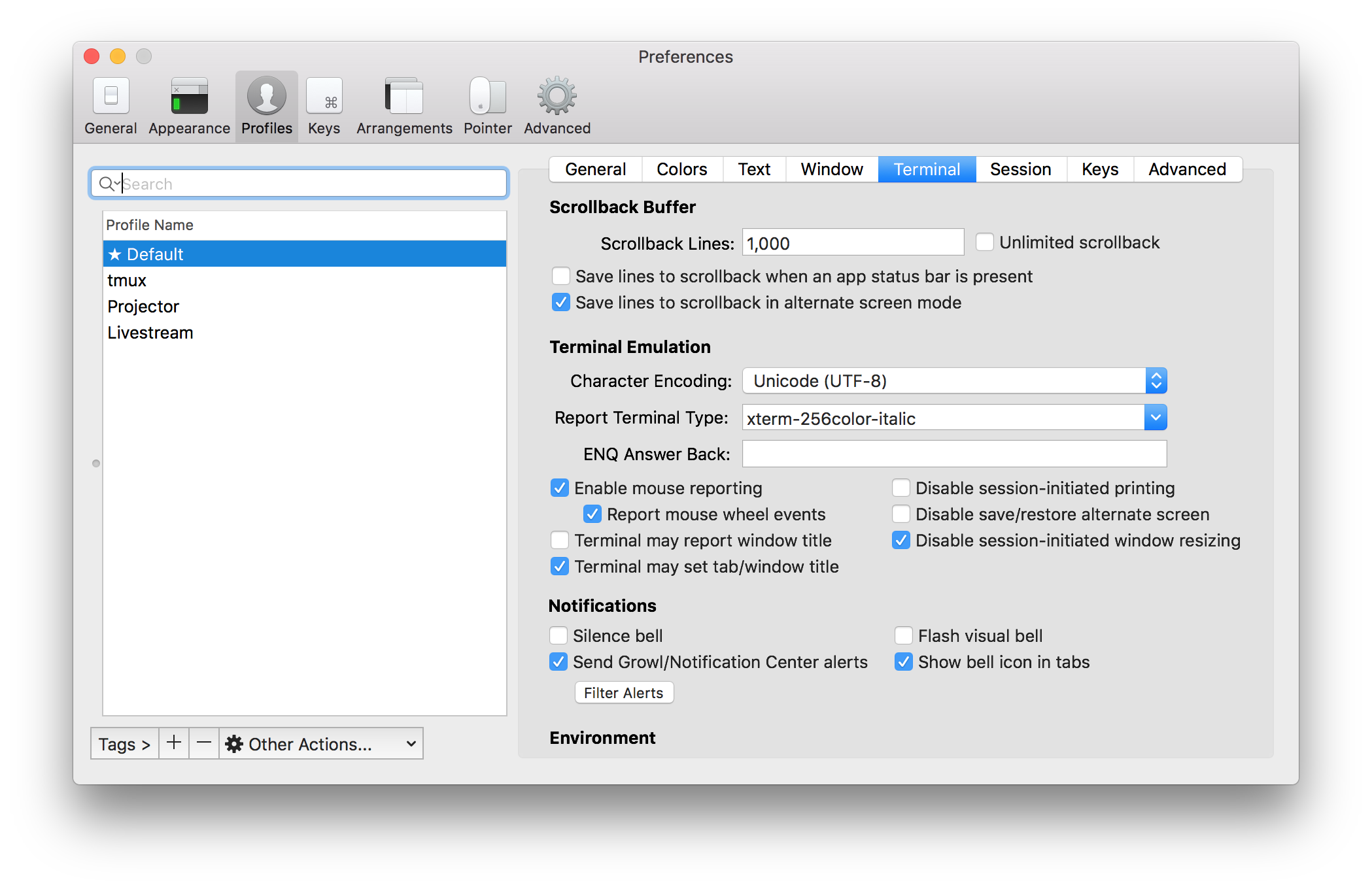 Screenshot of iTerm's settings window with the 'report terminal as' setting changed to 'xterm-256color-italic