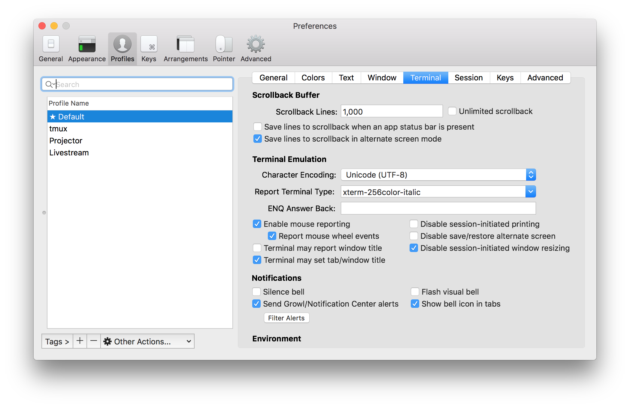 Terminal session. Xterm-256. Как прокручивать страницу на макбуке. Window>settings/preferences. General preference.